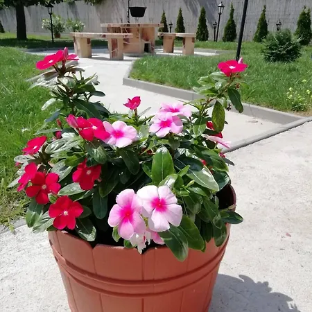Oregano Vendeghaz Es Apartmanhaz Affittacamere Bogács